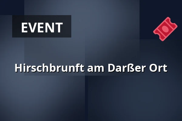 Hirschbrunft am Darßer Ort — Kurhaus Zingst, Ostseeheilbad Zingst
