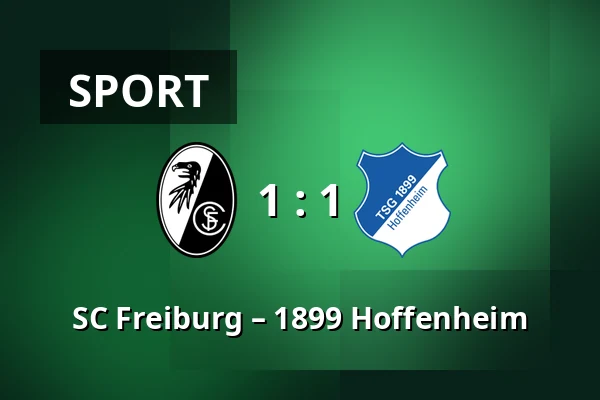 SC Freiburg – 1899 Hoffenheim — Europa-Park-Stadion, Freiburg im Breisgau