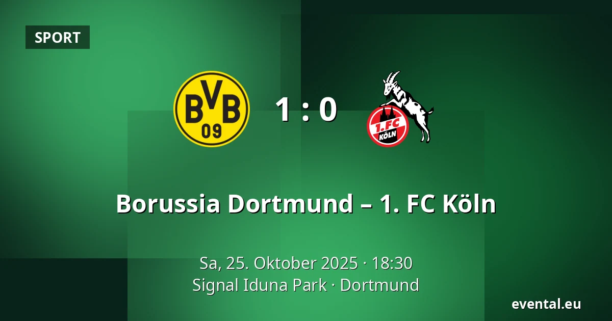 Borussia Dortmund – 1. FC Köln — Signal Iduna Park, Dortmund