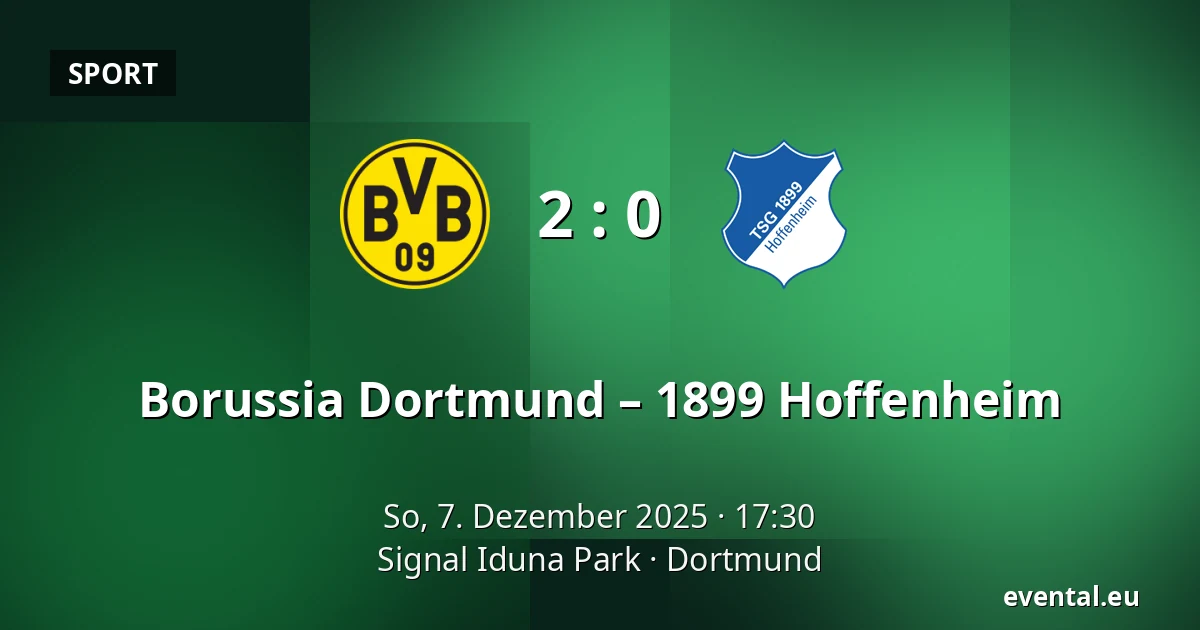 Borussia Dortmund – 1899 Hoffenheim — Signal Iduna Park, Dortmund