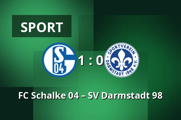 FC Schalke 04 – SV Darmstadt 98 — Veltins Arena, Gelsenkirchen