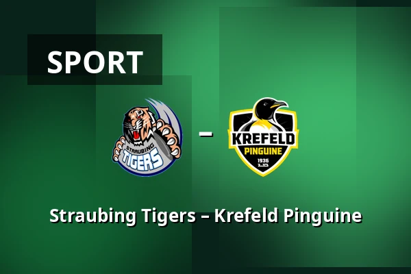 Straubing Tigers – Krefeld Pinguine — Straubing
