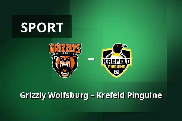 Grizzly Wolfsburg – Krefeld Pinguine — Wolfsburg