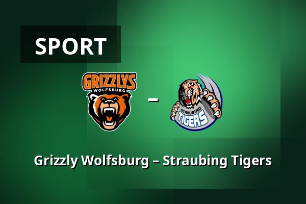 Grizzly Wolfsburg – Straubing Tigers — Wolfsburg