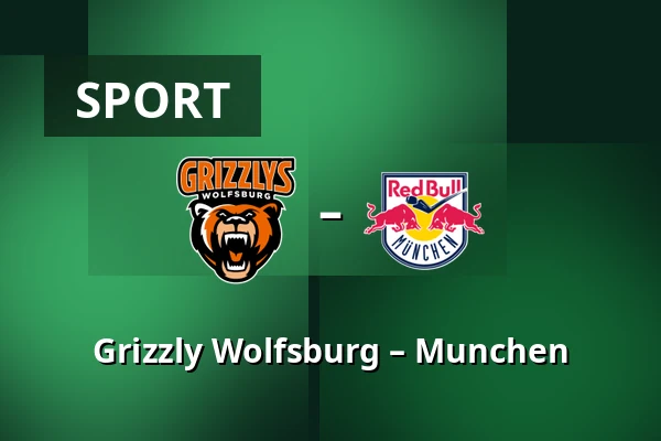 Grizzly Wolfsburg – Munchen — Wolfsburg