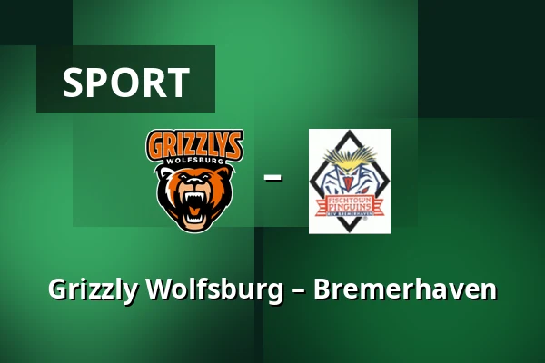 Grizzly Wolfsburg – Bremerhaven — Wolfsburg
