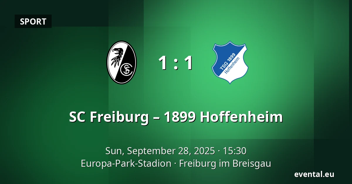 SC Freiburg – 1899 Hoffenheim — Europa-Park-Stadion, Freiburg im Breisgau