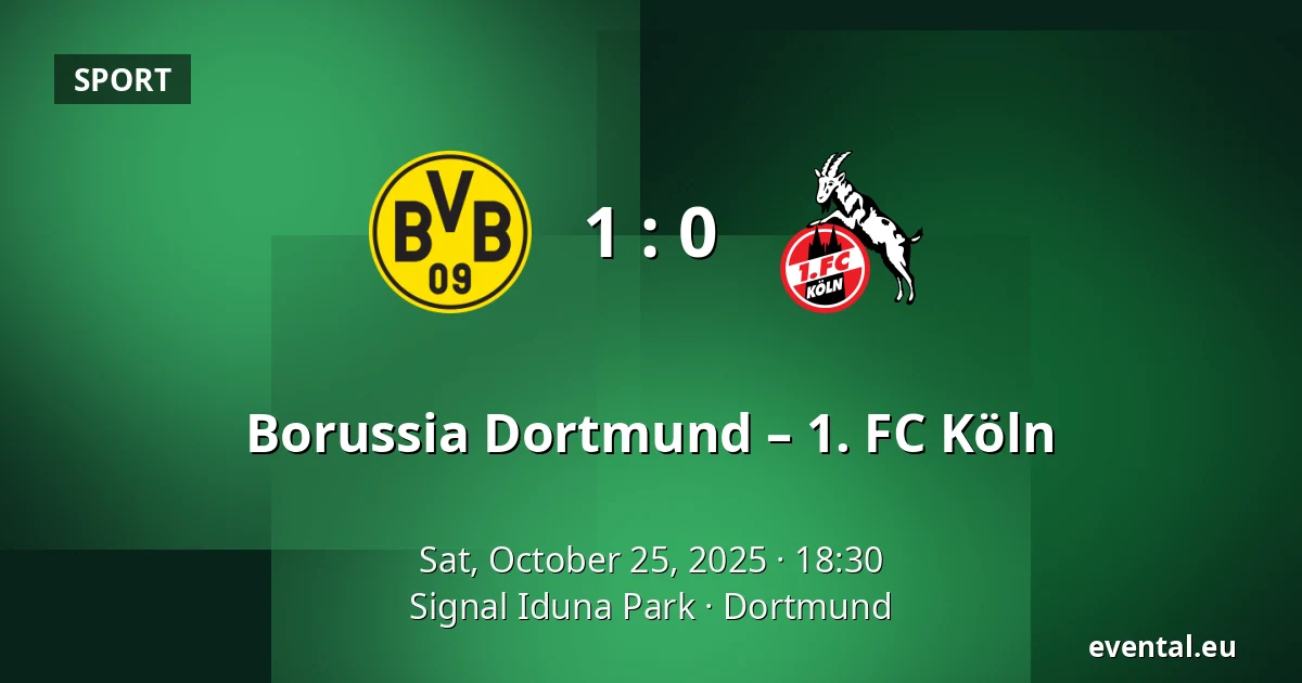 Borussia Dortmund – 1. FC Köln — Signal Iduna Park, Dortmund