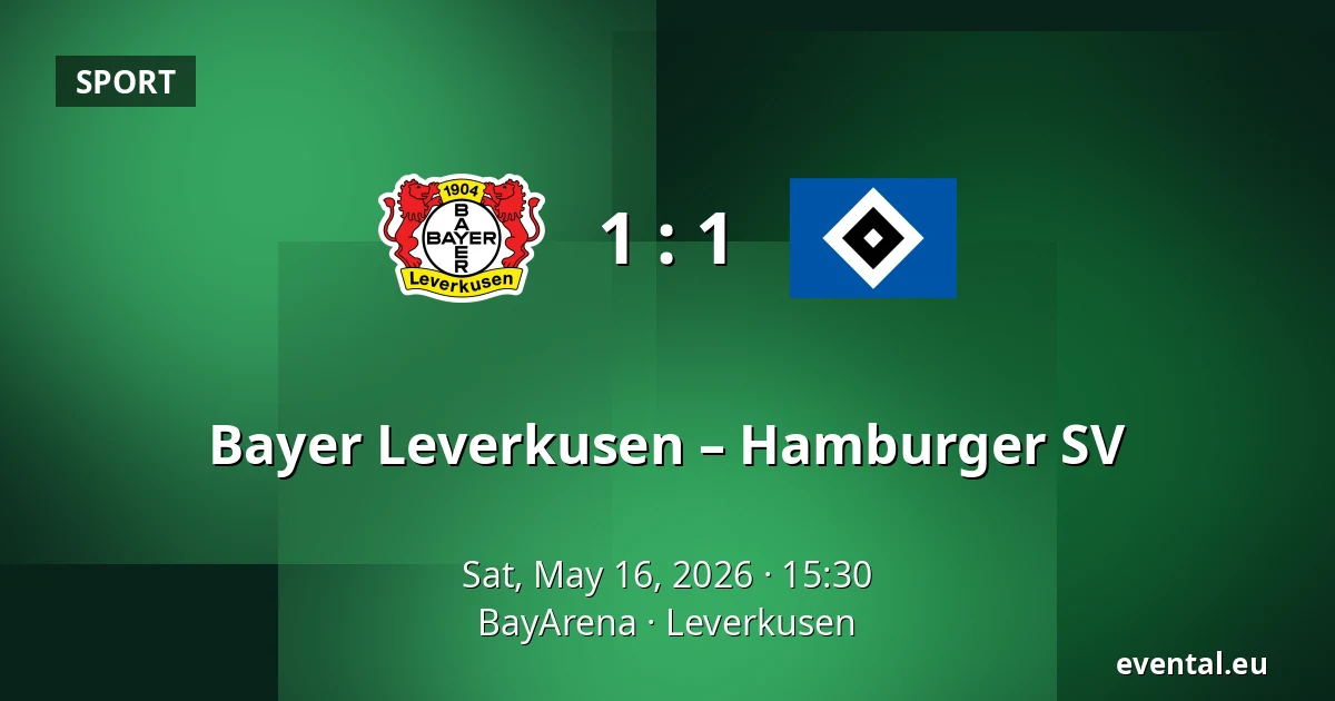 Bayer Leverkusen – Hamburger SV — BayArena, Leverkusen