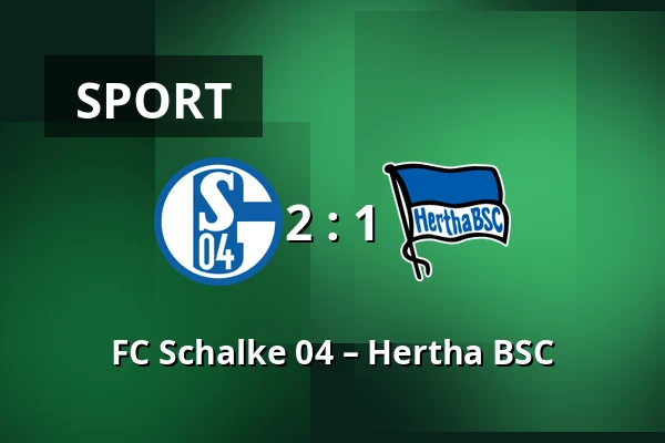FC Schalke 04 – Hertha BSC — Veltins Arena, Gelsenkirchen