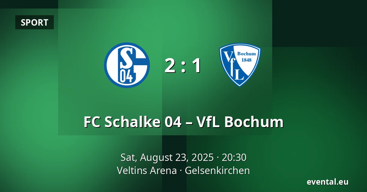 FC Schalke 04 – VfL Bochum — Veltins Arena, Gelsenkirchen