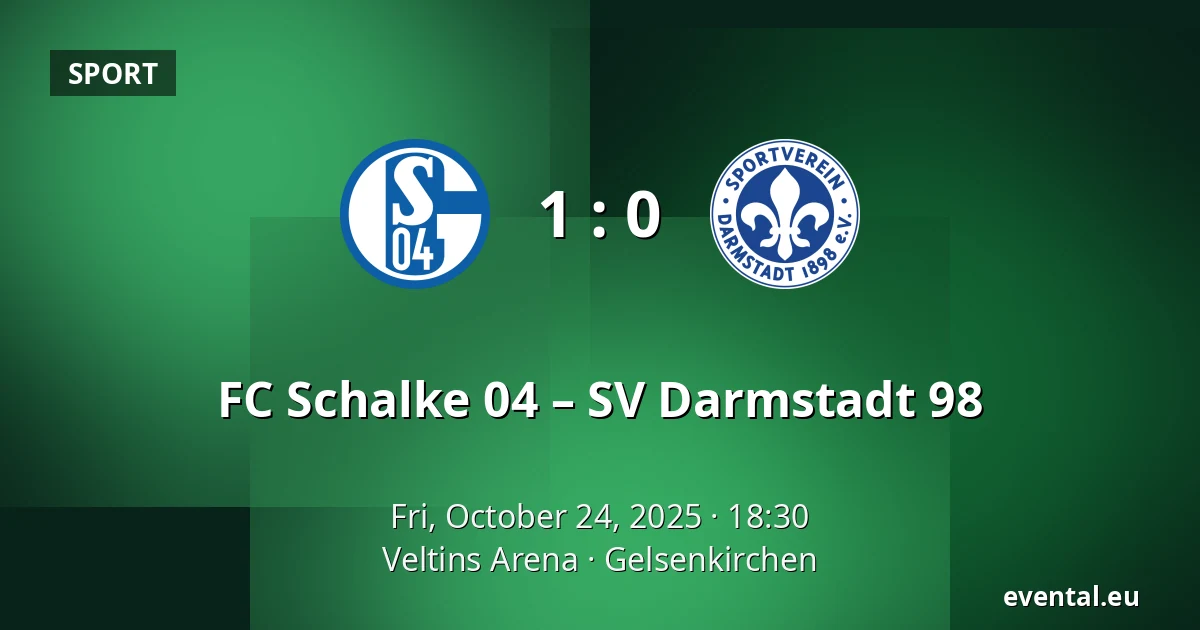 FC Schalke 04 – SV Darmstadt 98 — Veltins Arena, Gelsenkirchen