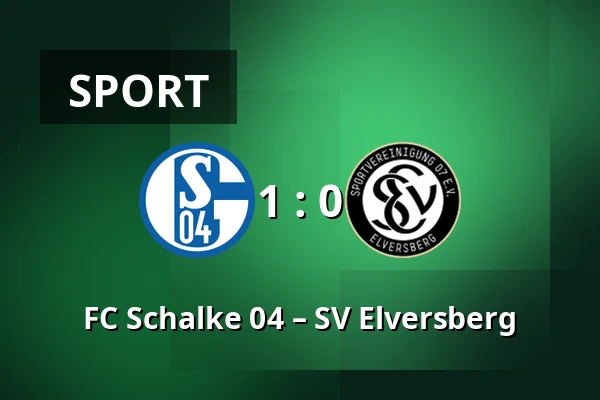 FC Schalke 04 – SV Elversberg — Veltins Arena, Gelsenkirchen