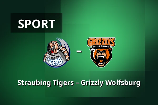 Straubing Tigers – Grizzly Wolfsburg — Straubing