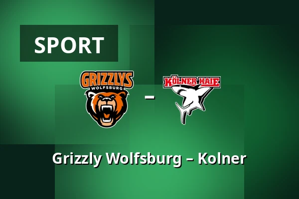 Grizzly Wolfsburg – Kolner — Wolfsburg