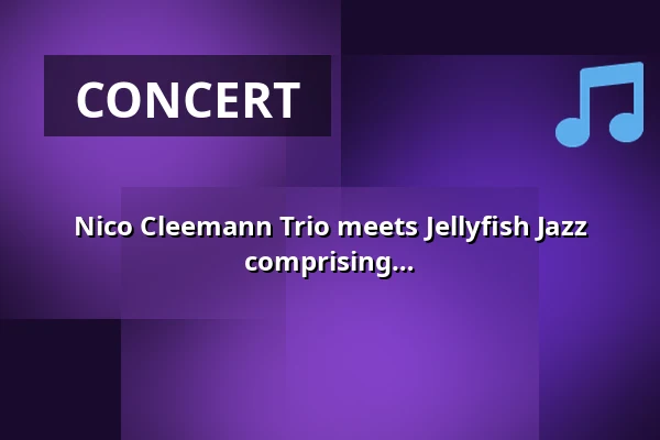 Nico Cleemann Trio meets Jellyfish Jazz Orchestra - Big Band founded in 2008, comprising around 20 musicians from Mecklenburg-Western Pomerania — Soziokulturelles Zentrum Speicher, Schwerin