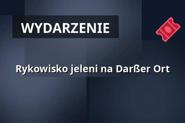 Rykowisko jeleni na Darßer Ort — Kurhaus Zingst, Ostseeheilbad Zingst