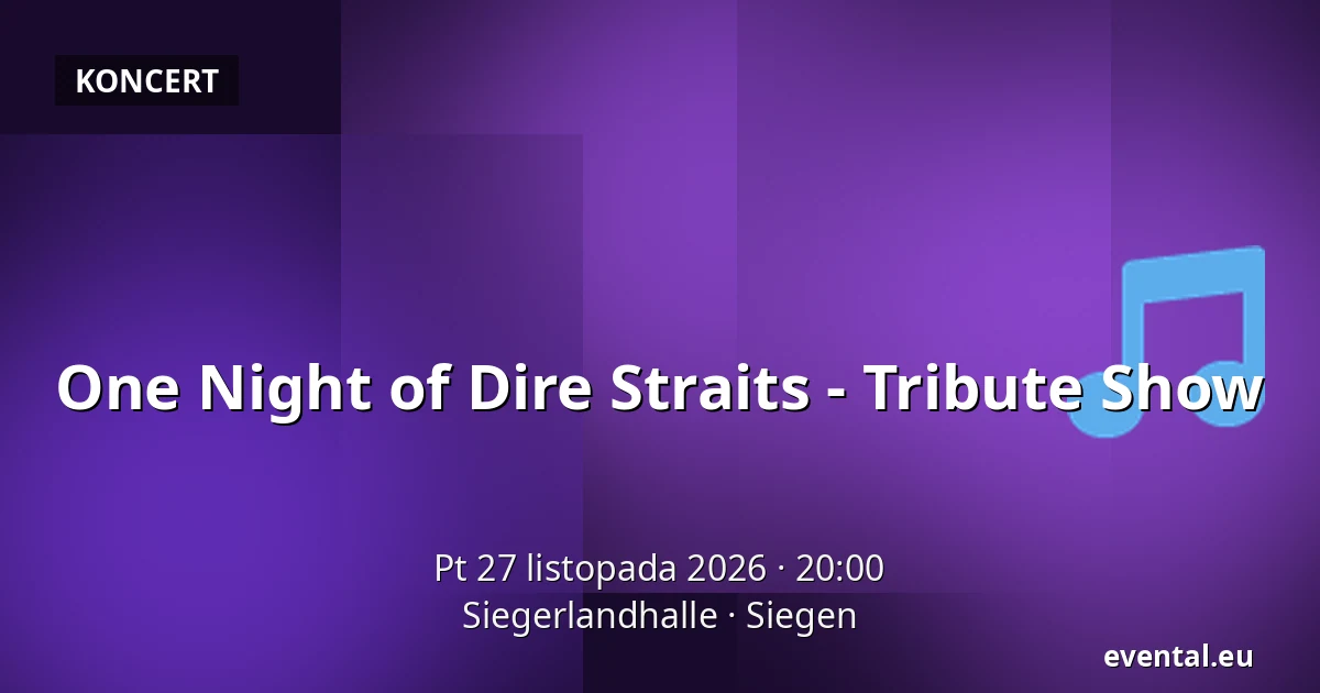 One Night of Dire Straits - Tribute Show — Siegerlandhalle, Siegen