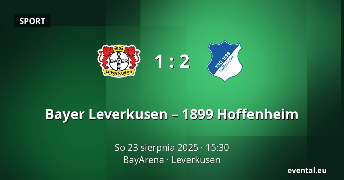 Bayer Leverkusen – 1899 Hoffenheim — BayArena, Leverkusen
