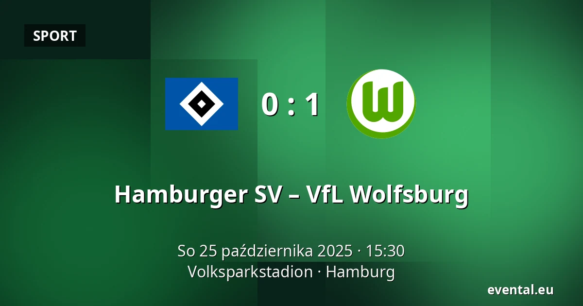 Hamburger SV – VfL Wolfsburg — Volksparkstadion, Hamburg