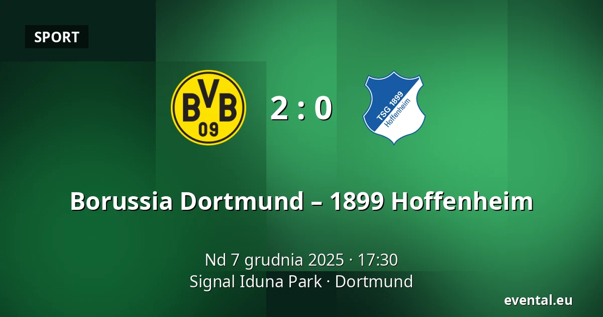 Borussia Dortmund – 1899 Hoffenheim — Signal Iduna Park, Dortmund