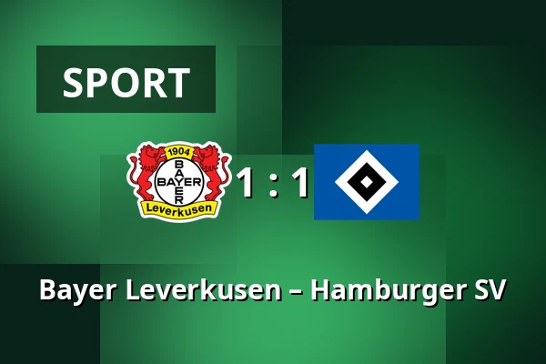 Bayer Leverkusen – Hamburger SV — BayArena, Leverkusen