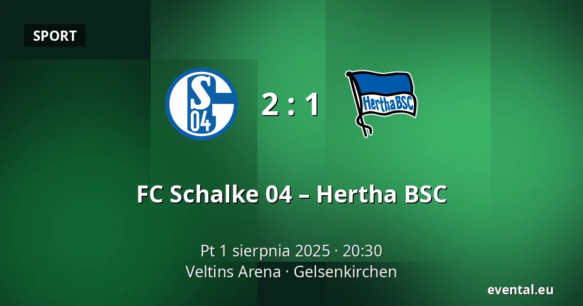 FC Schalke 04 – Hertha BSC — Veltins Arena, Gelsenkirchen