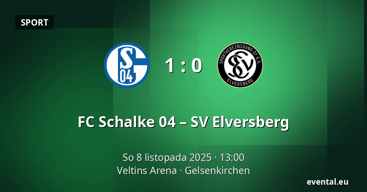 FC Schalke 04 – SV Elversberg — Veltins Arena, Gelsenkirchen