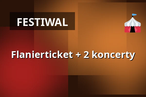Flanierticket + 2 koncerty — Schloss Weikersheim, Weikersheim