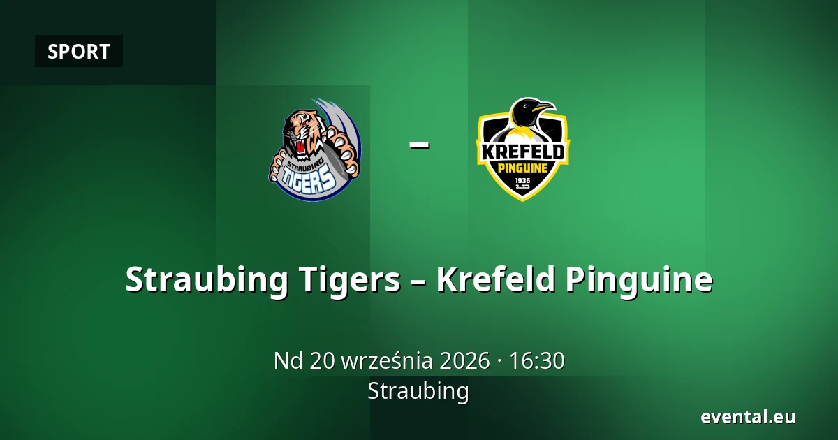 Straubing Tigers – Krefeld Pinguine — Straubing