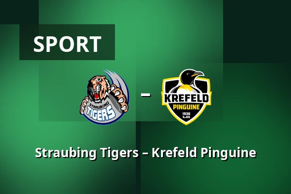 Straubing Tigers – Krefeld Pinguine — Straubing