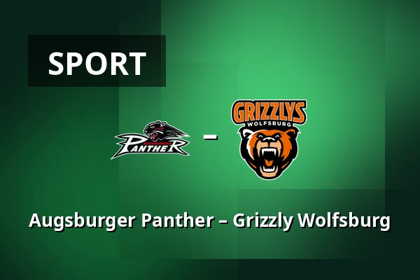 Augsburger Panther – Grizzly Wolfsburg — Augsburg