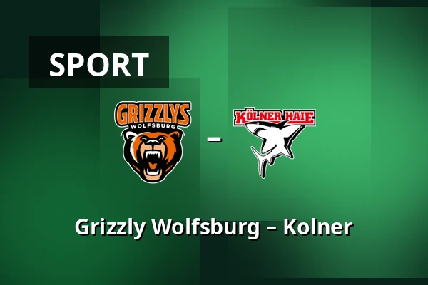 Grizzly Wolfsburg – Kolner — Wolfsburg