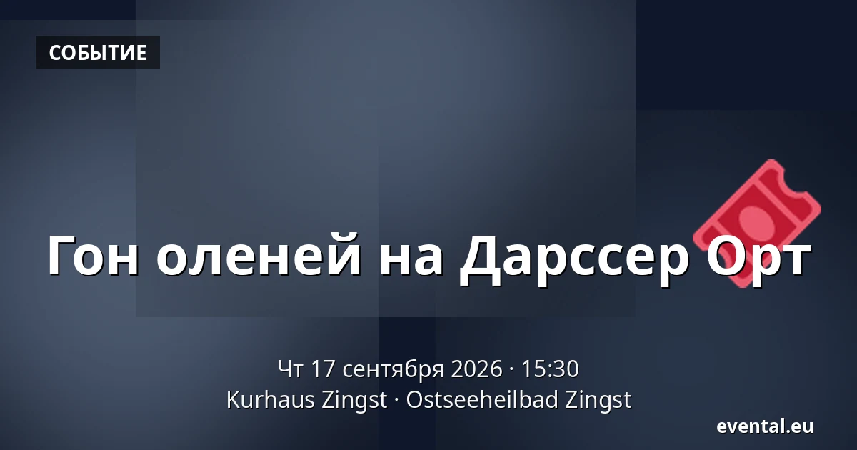 Гон оленей на Дарссер Орт — Kurhaus Zingst, Ostseeheilbad Zingst