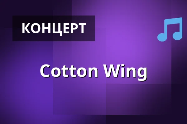 Cotton Wing — Blues w Leśniczówce - Mirachowo Festiwal, Гданьск