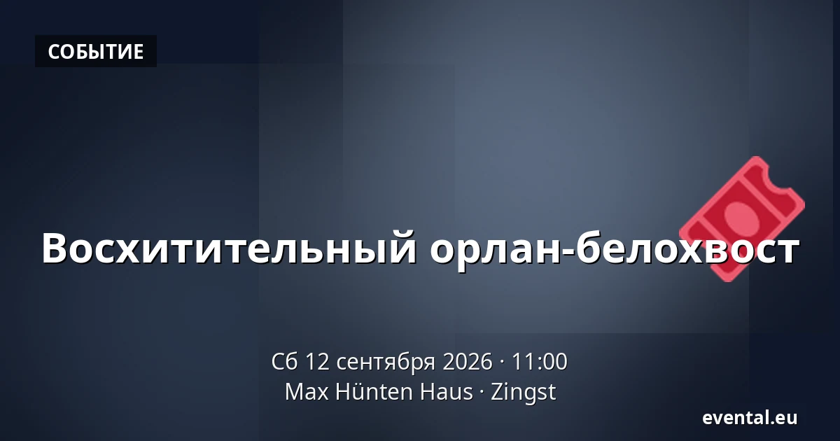 Восхитительный орлан-белохвост — Max Hünten Haus, Zingst