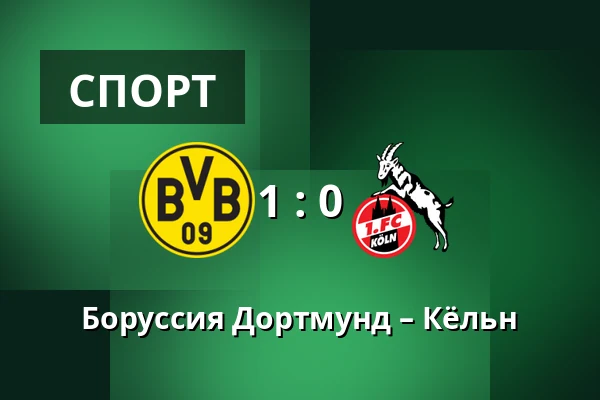 Боруссия Дортмунд – Кёльн — Signal Iduna Park, Дортмунд