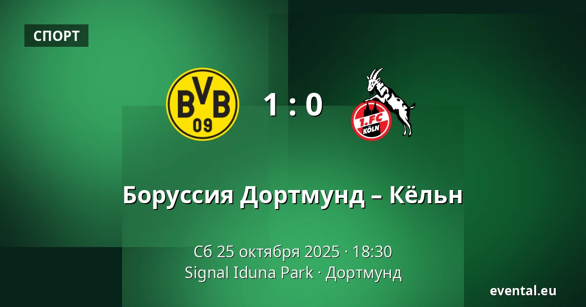 Боруссия Дортмунд – Кёльн — Signal Iduna Park, Дортмунд