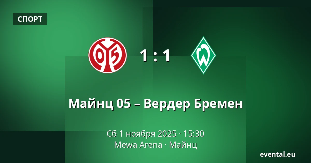 Майнц 05 – Вердер Бремен — Mewa Arena, Майнц