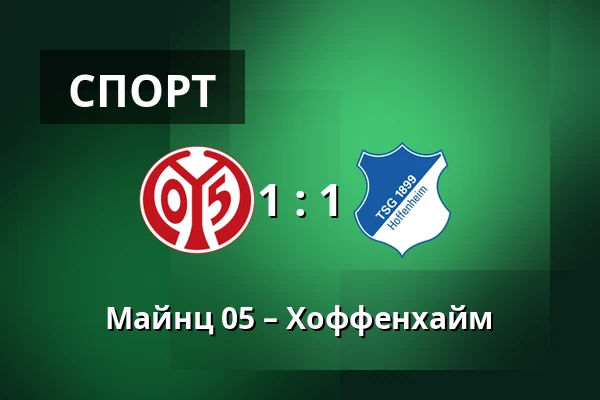 Майнц 05 – Хоффенхайм — Mewa Arena, Майнц