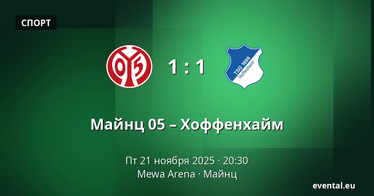 Майнц 05 – Хоффенхайм — Mewa Arena, Майнц