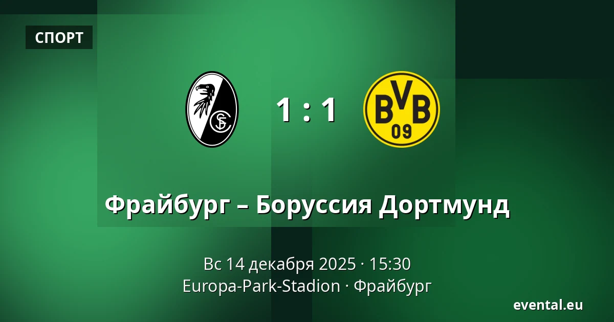 Фрайбург – Боруссия Дортмунд — Europa-Park-Stadion, Фрайбург
