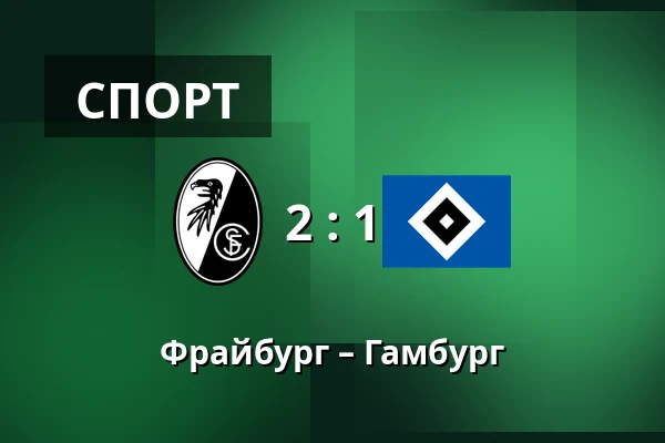 Фрайбург – Гамбург — Europa-Park-Stadion, Фрайбург