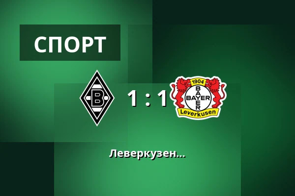 Боруссия Мёнхенгладбах – Байер Леверкузен — Borussia-Park, Monchengladbach
