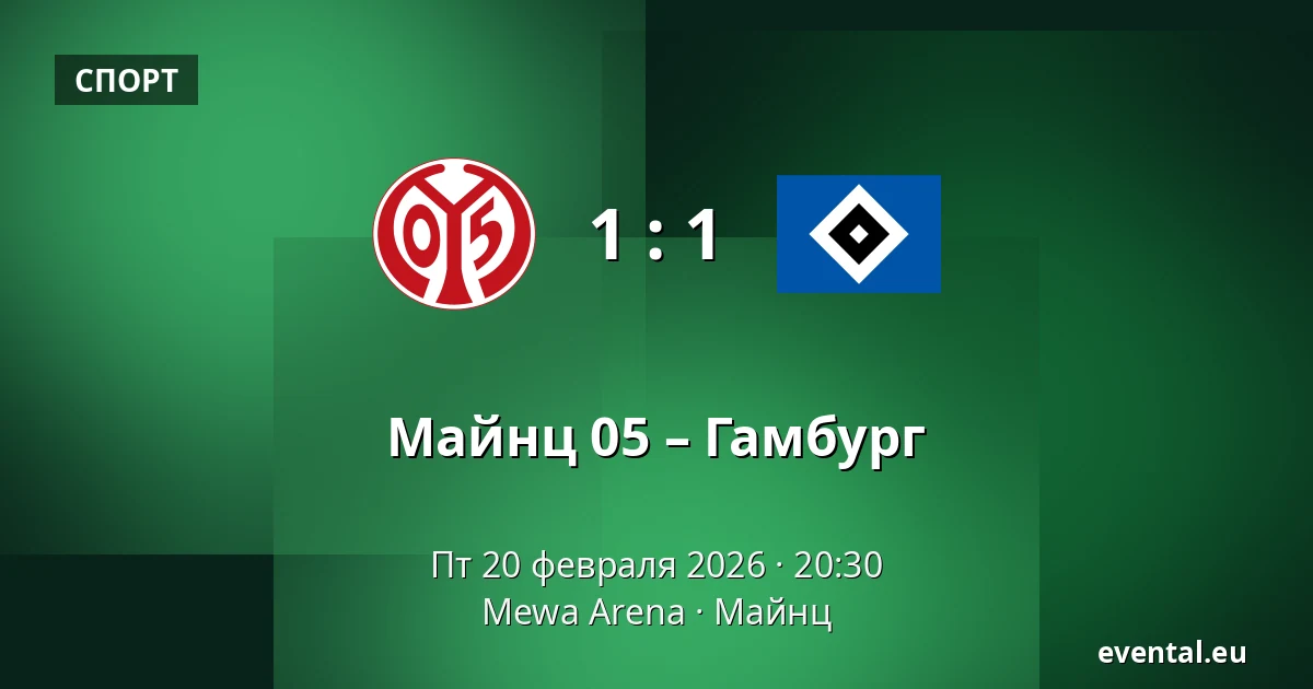 Майнц 05 – Гамбург — Mewa Arena, Майнц