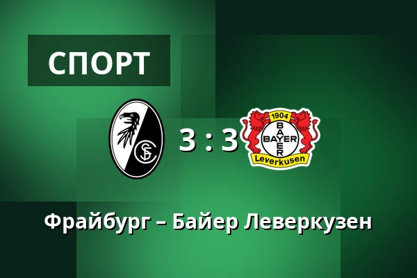 Фрайбург – Байер Леверкузен — Europa-Park-Stadion, Фрайбург