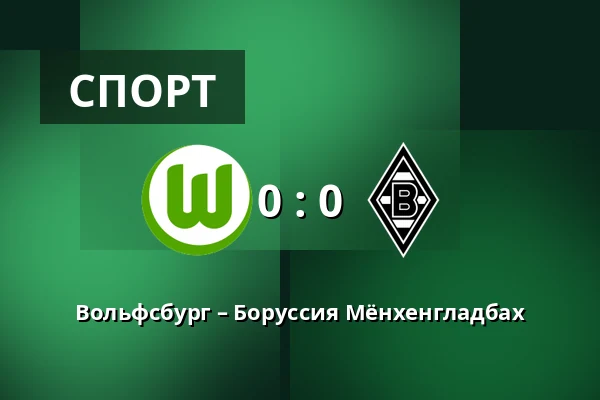 Вольфсбург – Боруссия Мёнхенгладбах — Volkswagen Arena, Wolfsburg