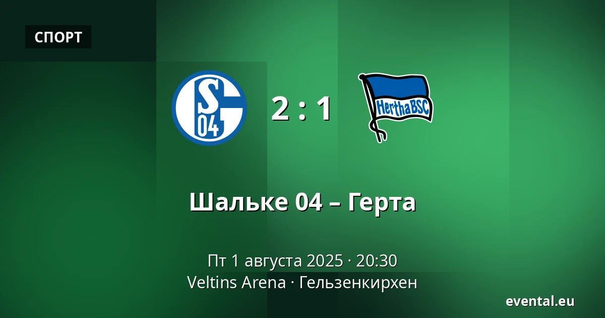 Шальке 04 – Герта — Veltins Arena, Гельзенкирхен