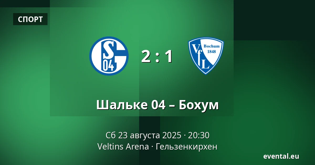 Шальке 04 – Бохум — Veltins Arena, Гельзенкирхен