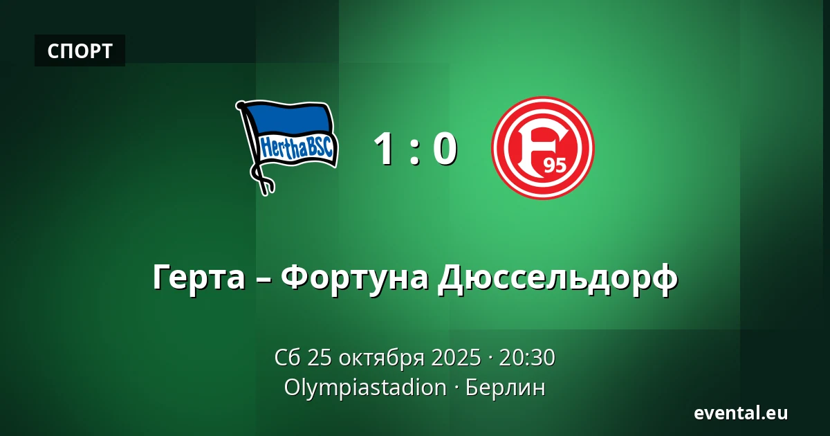 Герта – Фортуна Дюссельдорф — Olympiastadion, Берлин